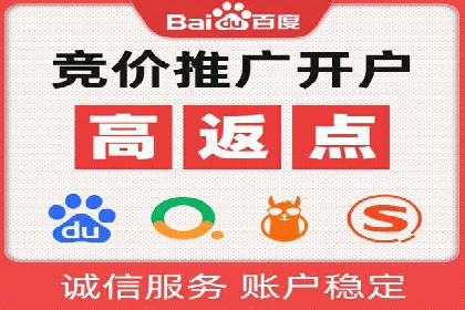 搜索引擎优化（SEO）与竞价广告（SEM）的对比案例